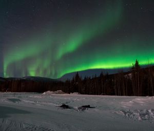 Preview wallpaper northern lights, forest, snow, winter, landscape