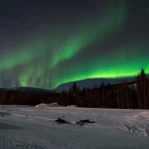 Preview wallpaper northern lights, forest, snow, winter, landscape