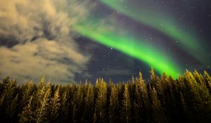 Preview wallpaper northern lights, forest, trees, night