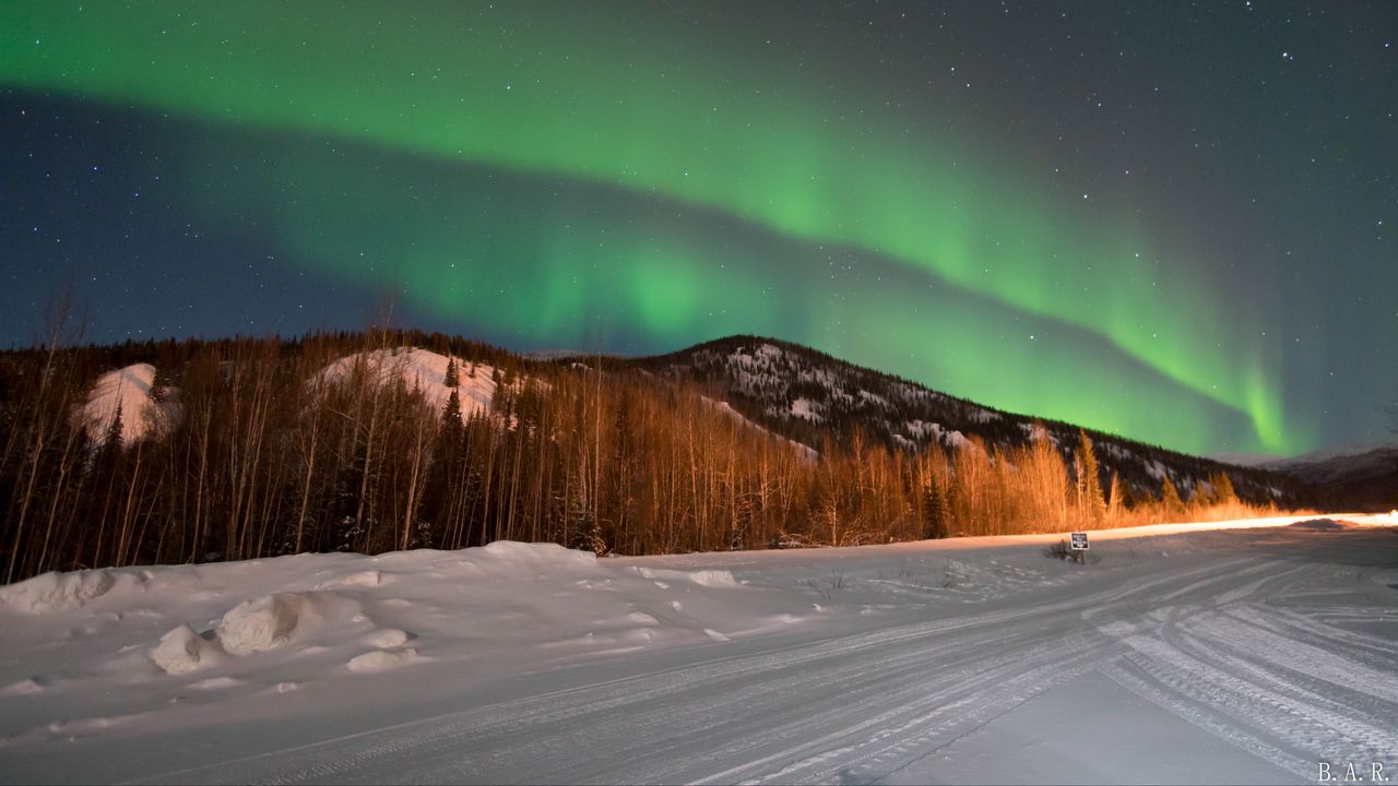 Wallpaper northern lights, forest, trees, snow, winter, nature