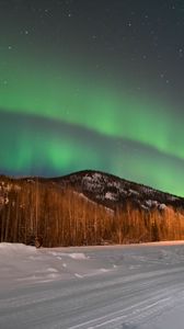 Preview wallpaper northern lights, forest, trees, snow, winter, nature