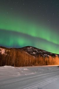 Preview wallpaper northern lights, forest, trees, snow, winter, nature