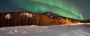 Preview wallpaper northern lights, forest, trees, snow, winter, nature