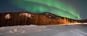 Preview wallpaper northern lights, forest, trees, snow, winter, nature