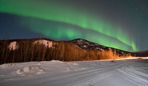 Preview wallpaper northern lights, forest, trees, snow, winter, nature