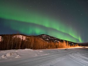 Preview wallpaper northern lights, forest, trees, snow, winter, nature