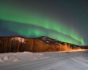 Preview wallpaper northern lights, forest, trees, snow, winter, nature