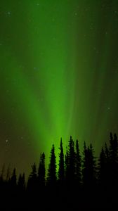 Preview wallpaper northern lights, glow, trees, silhouettes, green, dark