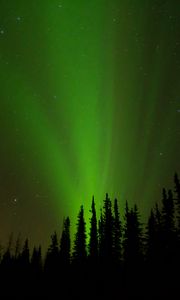 Preview wallpaper northern lights, glow, trees, silhouettes, green, dark