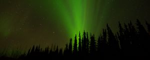 Preview wallpaper northern lights, glow, trees, silhouettes, green, dark