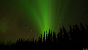 Preview wallpaper northern lights, glow, trees, silhouettes, green, dark