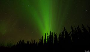 Preview wallpaper northern lights, glow, trees, silhouettes, green, dark