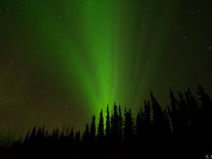 Preview wallpaper northern lights, glow, trees, silhouettes, green, dark