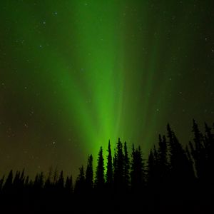 Preview wallpaper northern lights, glow, trees, silhouettes, green, dark