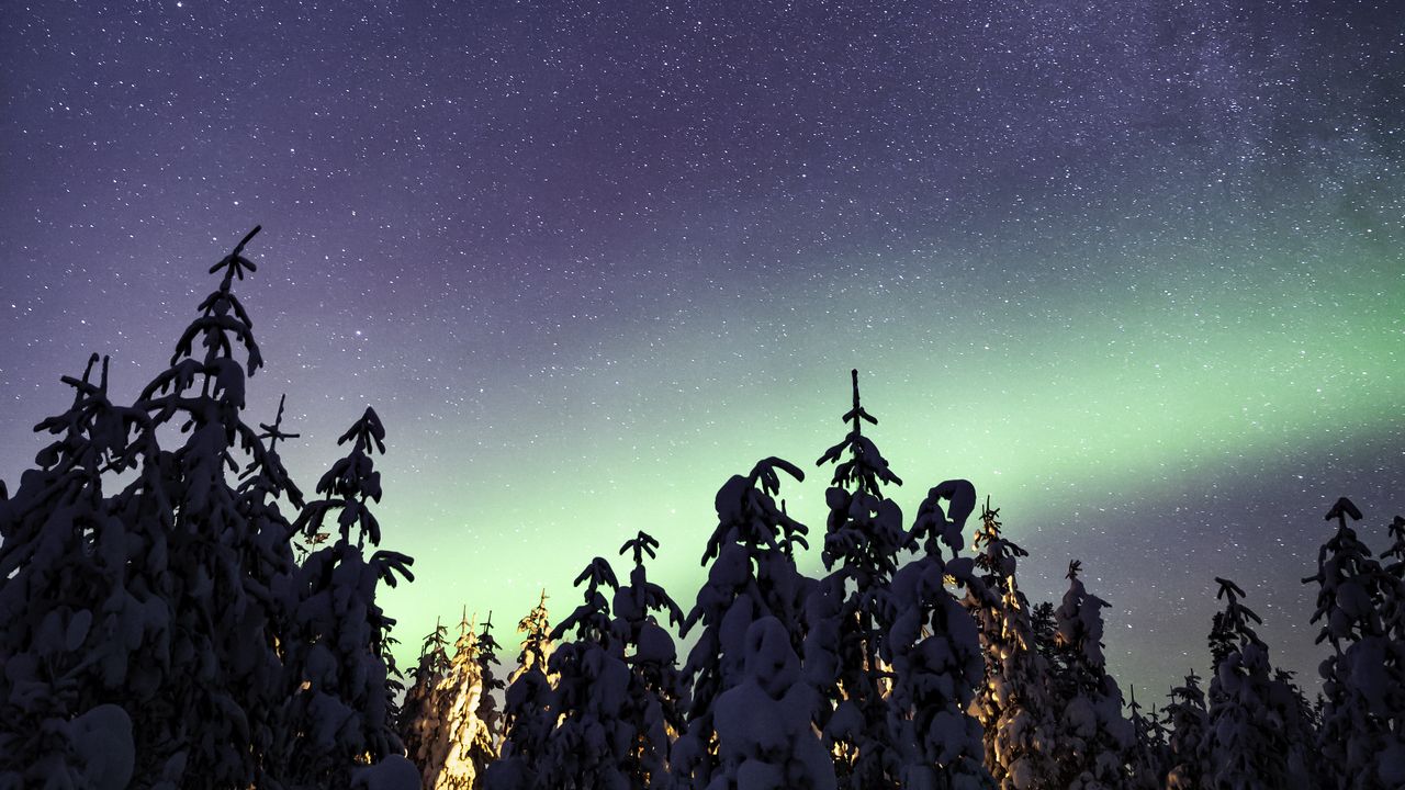 Wallpaper northern lights, milky way, starry sky, aurora, trees, winter