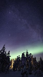 Preview wallpaper northern lights, milky way, starry sky, aurora, trees, winter