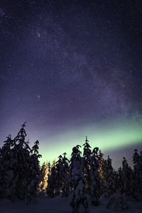 Preview wallpaper northern lights, milky way, starry sky, aurora, trees, winter