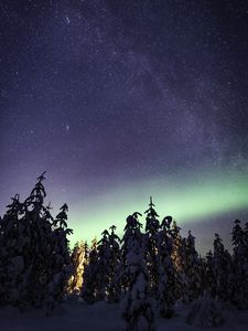 Preview wallpaper northern lights, milky way, starry sky, aurora, trees, winter