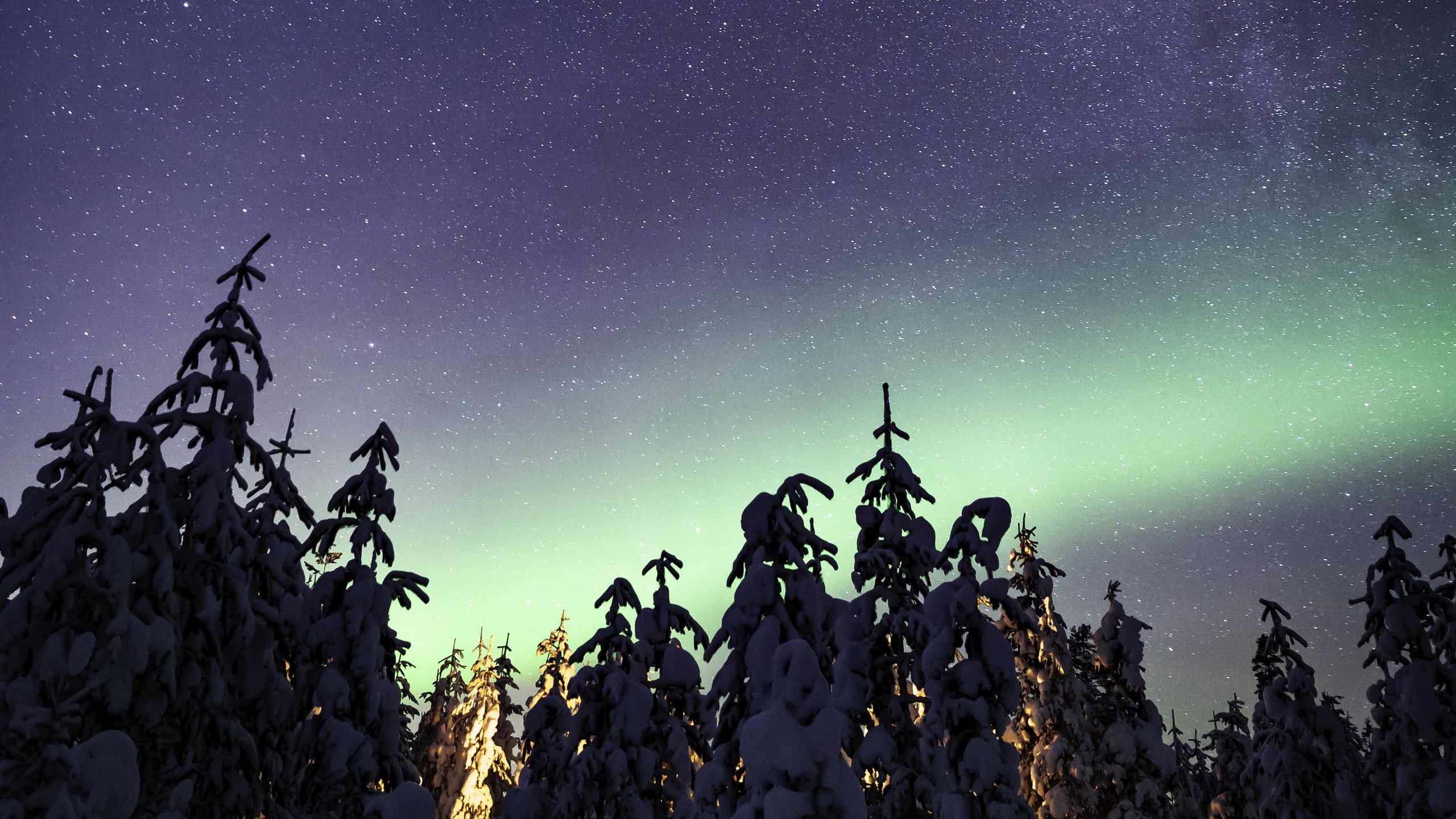 Aurora winters. Звездное небо зима. Звездное небо зимой. Обои на рабочий стол 1920х1080 Северное сияние Шале гирлянда. Звёздное небо в Башкирии зимой картинки.