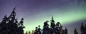 Preview wallpaper northern lights, milky way, starry sky, aurora, trees, winter
