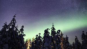 Preview wallpaper northern lights, milky way, starry sky, aurora, trees, winter
