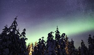 Preview wallpaper northern lights, milky way, starry sky, aurora, trees, winter