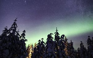 Preview wallpaper northern lights, milky way, starry sky, aurora, trees, winter