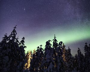 Preview wallpaper northern lights, milky way, starry sky, aurora, trees, winter