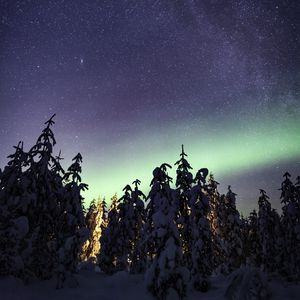 Preview wallpaper northern lights, milky way, starry sky, aurora, trees, winter