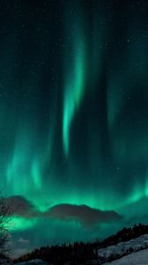 Preview wallpaper northern lights, night, snow, nature, winter