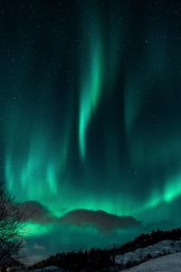 Preview wallpaper northern lights, night, snow, nature, winter