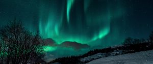 Preview wallpaper northern lights, night, snow, nature, winter