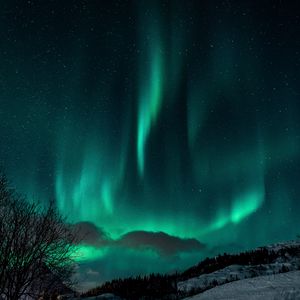 Preview wallpaper northern lights, night, snow, nature, winter