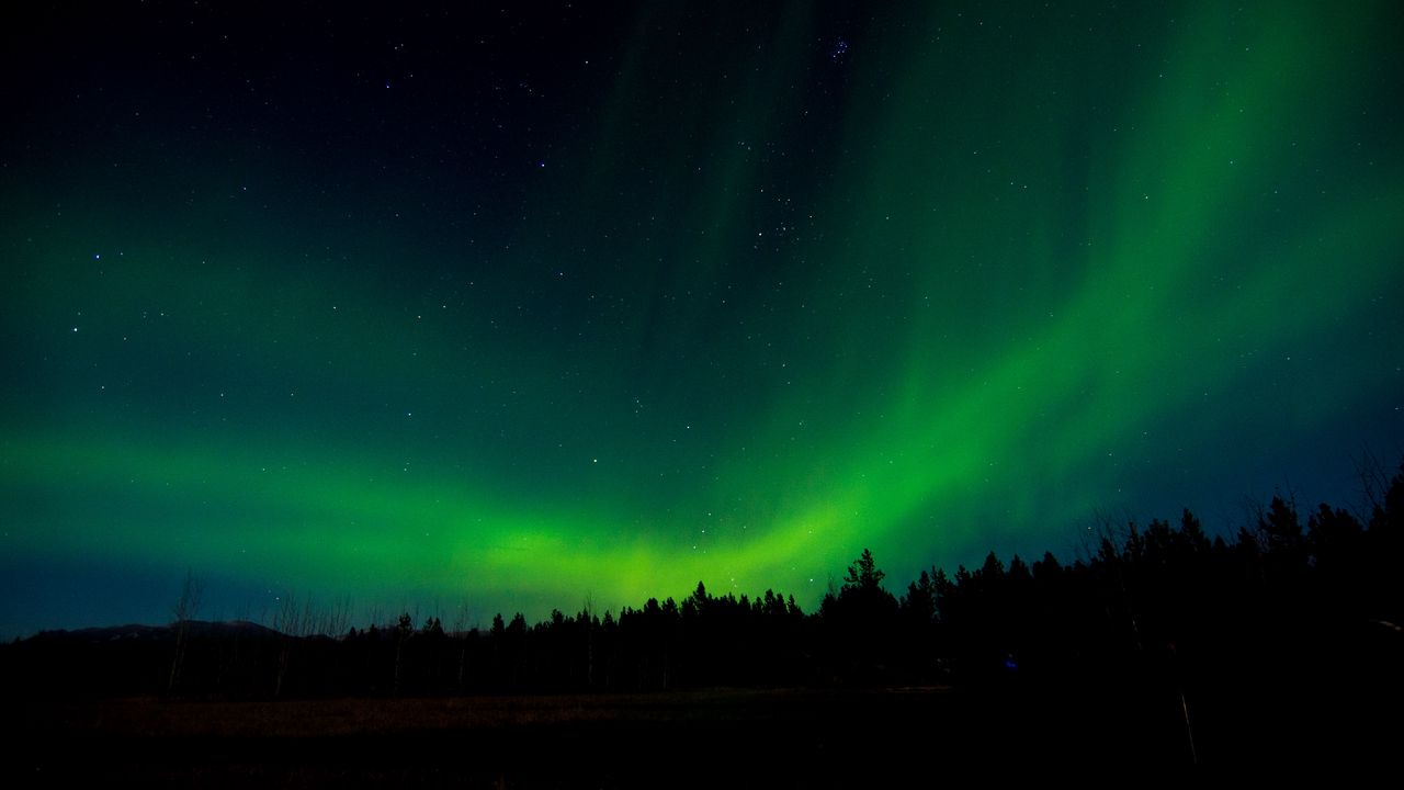 Wallpaper northern lights, night, trees, sky