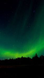 Preview wallpaper northern lights, night, trees, sky