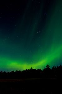 Preview wallpaper northern lights, night, trees, sky