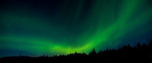 Preview wallpaper northern lights, night, trees, sky