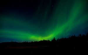 Preview wallpaper northern lights, night, trees, sky