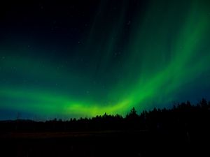 Preview wallpaper northern lights, night, trees, sky