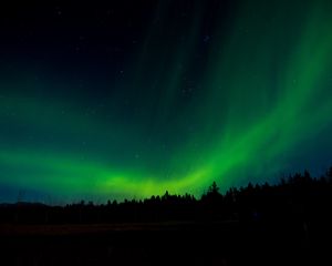 Preview wallpaper northern lights, night, trees, sky