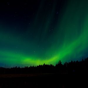 Preview wallpaper northern lights, night, trees, sky