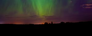 Preview wallpaper northern lights, night, trees, silhouettes