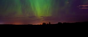 Preview wallpaper northern lights, night, trees, silhouettes