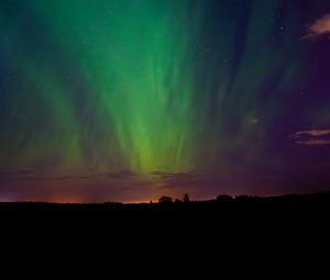 Preview wallpaper northern lights, night, trees, silhouettes