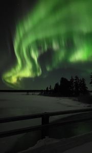 Preview wallpaper northern lights, night, winter, trees, snow