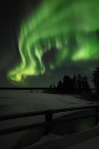 Preview wallpaper northern lights, night, winter, trees, snow