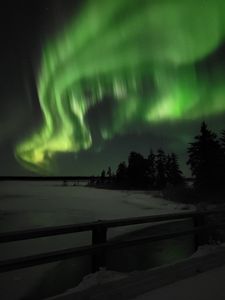 Preview wallpaper northern lights, night, winter, trees, snow