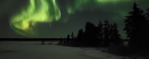 Preview wallpaper northern lights, night, winter, trees, snow
