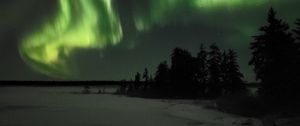 Preview wallpaper northern lights, night, winter, trees, snow