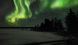 Preview wallpaper northern lights, night, winter, trees, snow